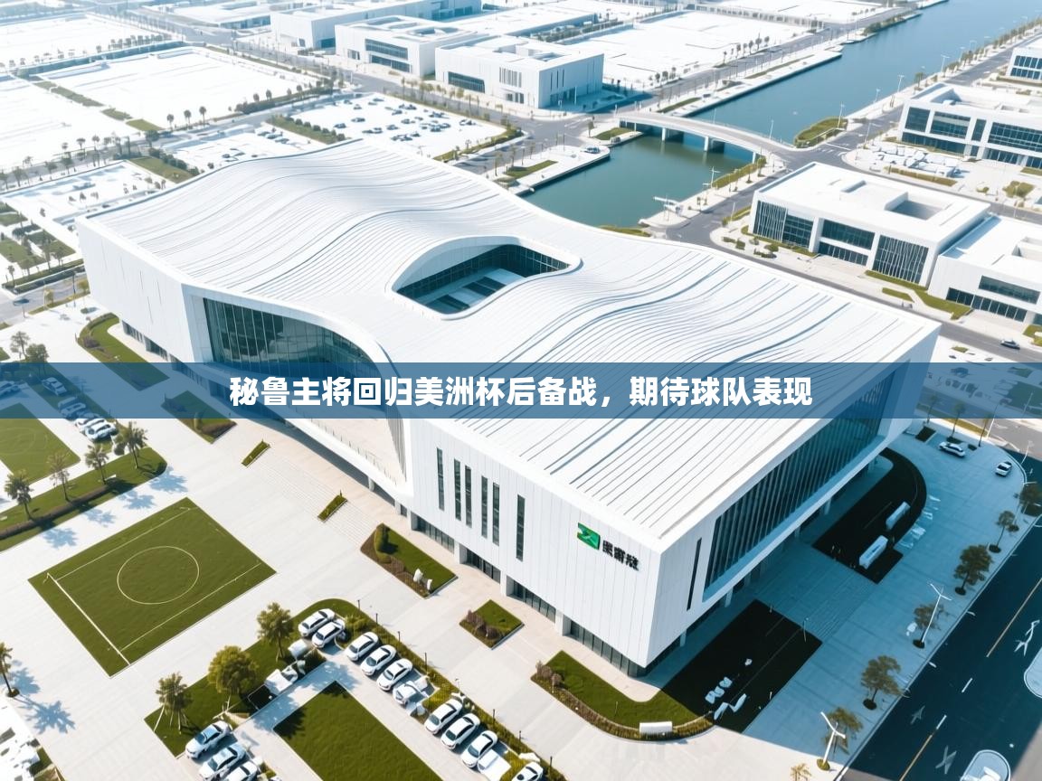 秘鲁主将回归美洲杯后备战，期待球队表现