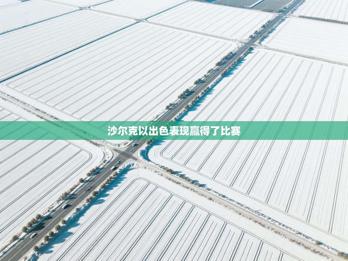 沙尔克以出色表现赢得了比赛