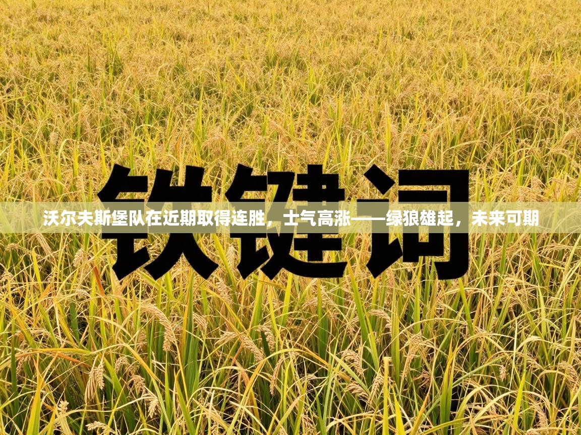 沃尔夫斯堡队在近期取得连胜，士气高涨——绿狼雄起，未来可期