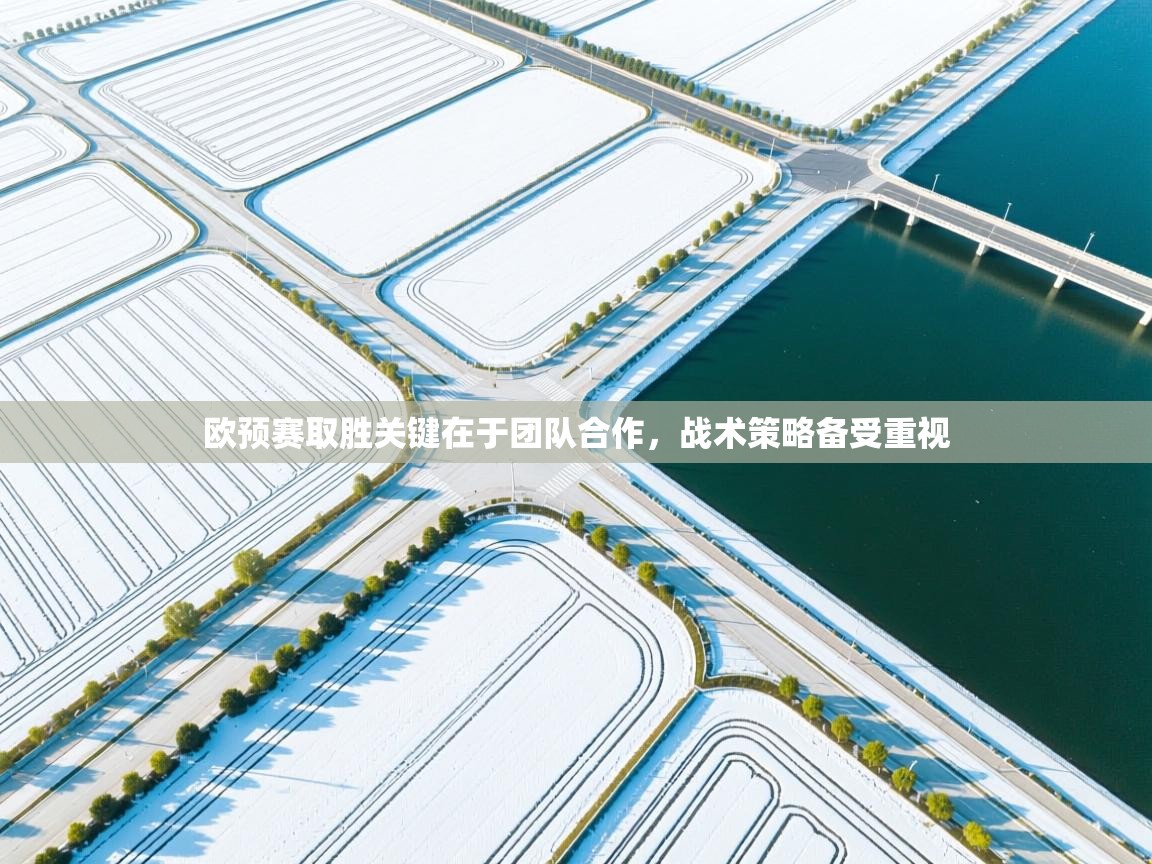 欧预赛取胜关键在于团队合作，战术策略备受重视