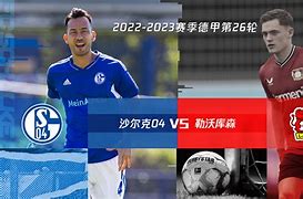 沙尔克里程屡破，战术麦克麦伦由重回阿尔卡特的简单介绍